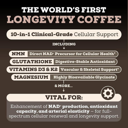 korvital™ Longevity Mocha