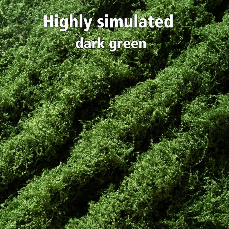 Moss Canvas
