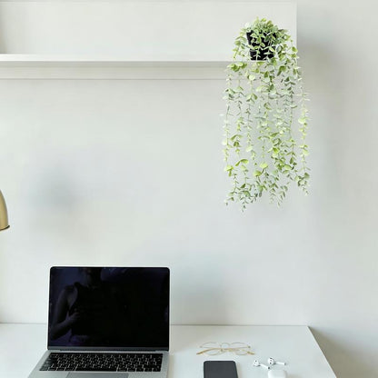 EverTrail™ Hanging Plant Trio