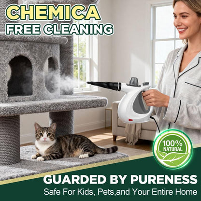 GrimeBlaster™ Pressurized Steam Cleaner