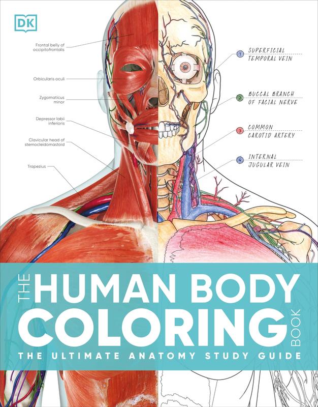 The Human Body Color & Label Study Book