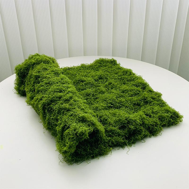 Moss Canvas