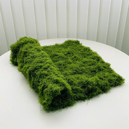 Moss Canvas
