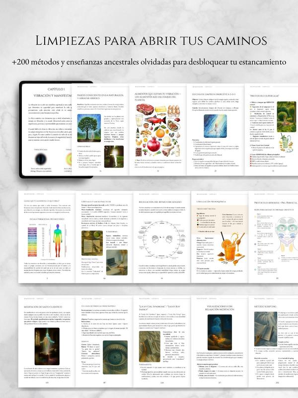 korvital™ Realifestación