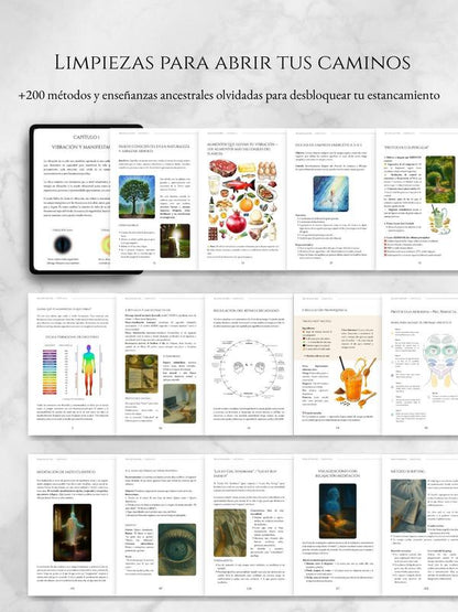 korvital™ Realifestación