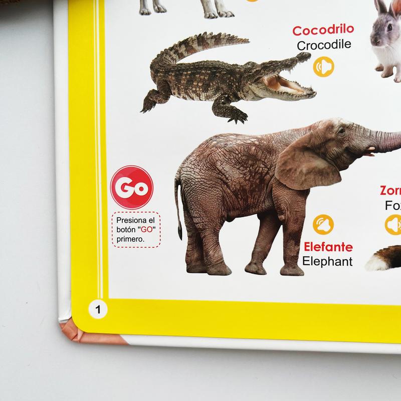 Libro Sonoro Bilingüe