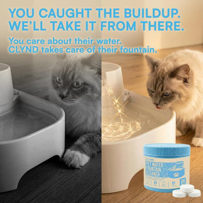ClearFlow Fountain Cleaning Tablets