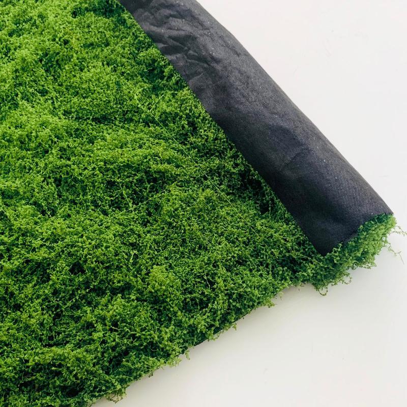 Moss Canvas
