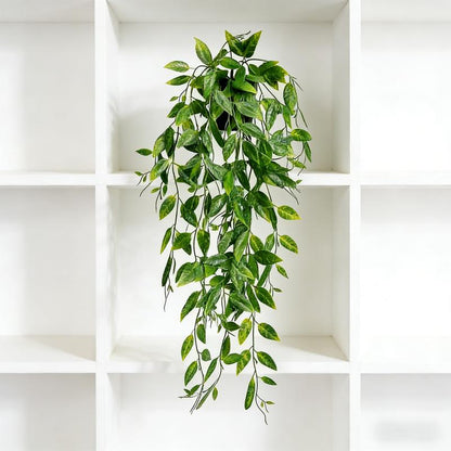 EverTrail™ Hanging Plant Trio