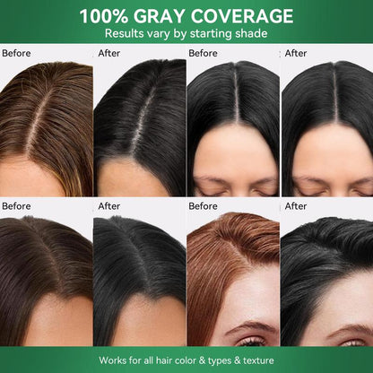 CANOVA — Shampoo Cubre Canas 6 en 1